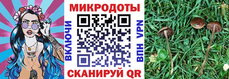 hydra ONION  Ессентукская  Галлюциногенные грибы прущие грибы  хочу  